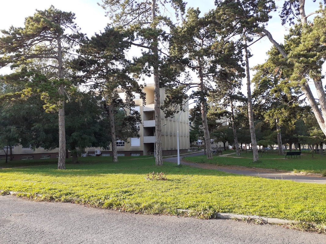 USLD Henri Mondor Site Emile Roux - Photo 4 sur 5 - Espaces de vie