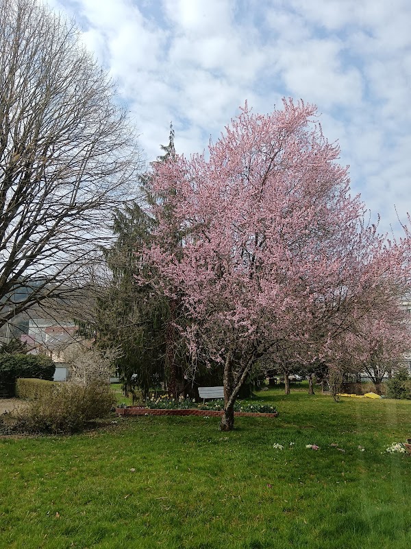Résidence Bon Repos - Photo 5 sur 5 - Environnement et extérieurs
