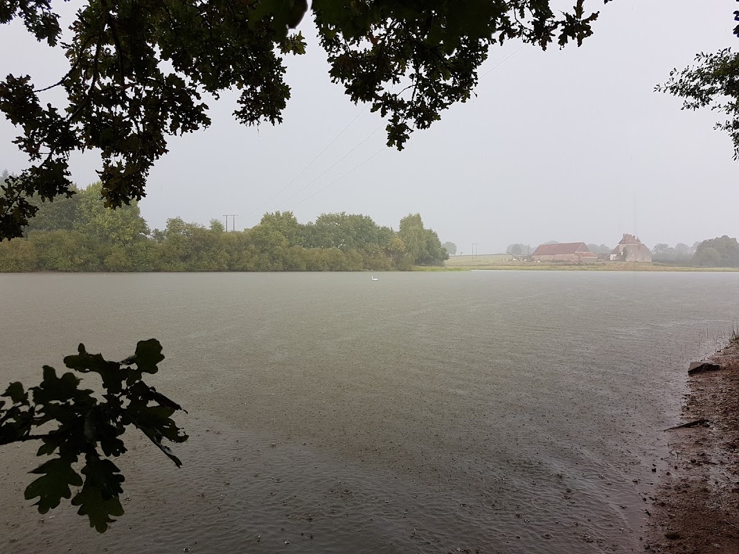 FL SAINT BERAIN SOUS SANVIGNES - Photo principale