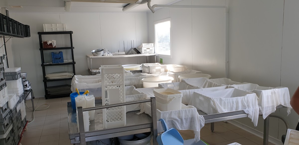 FL SAINT BERAIN SOUS SANVIGNES - Photo 4 sur 5 - Espaces de vie