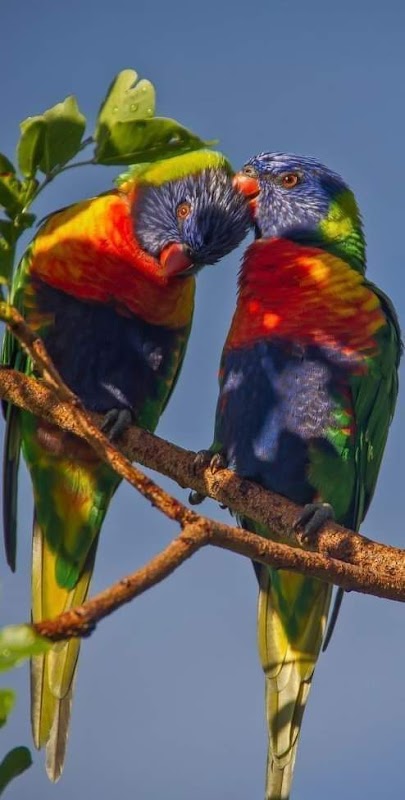 EHPAD L'écureuil - Photo 5 sur 5 - Environnement et extérieurs