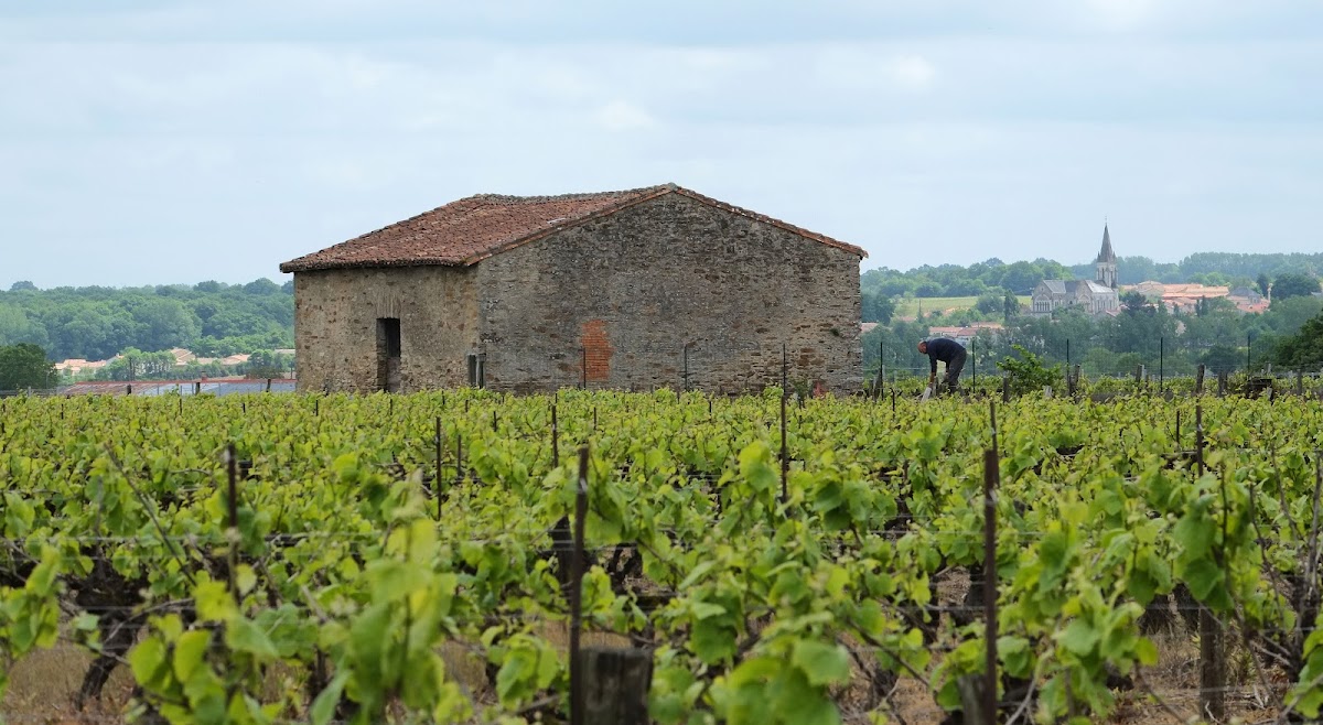 EHPAD d'Orée - Photo principale