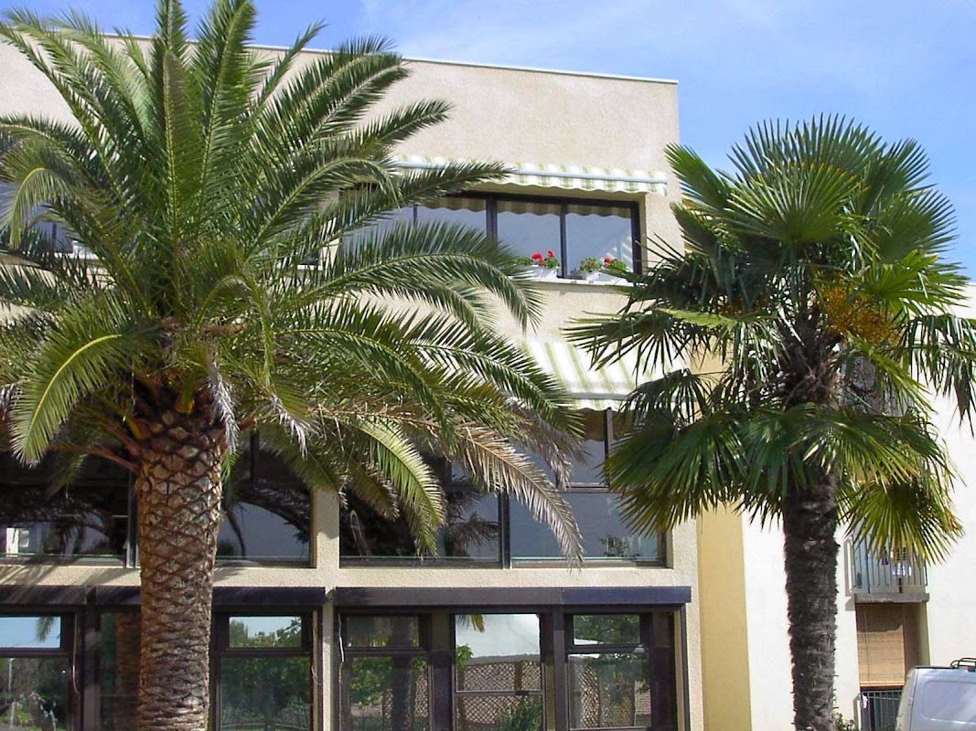 Photo de EHPAD Le foyer du romarin, EHPAD à CLAPIERS