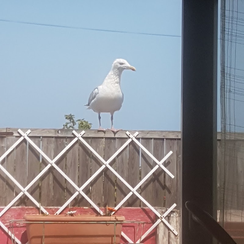 Photo de Résidence Stiren Er Mor, Résidence autonomie à GAVRES