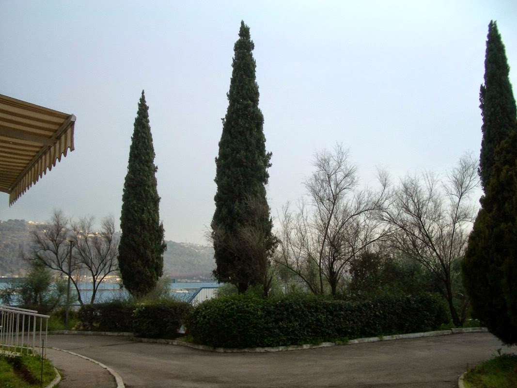 EHPAD Domaine de la Palombière - Photo 5 sur 5 - Environnement et extérieurs