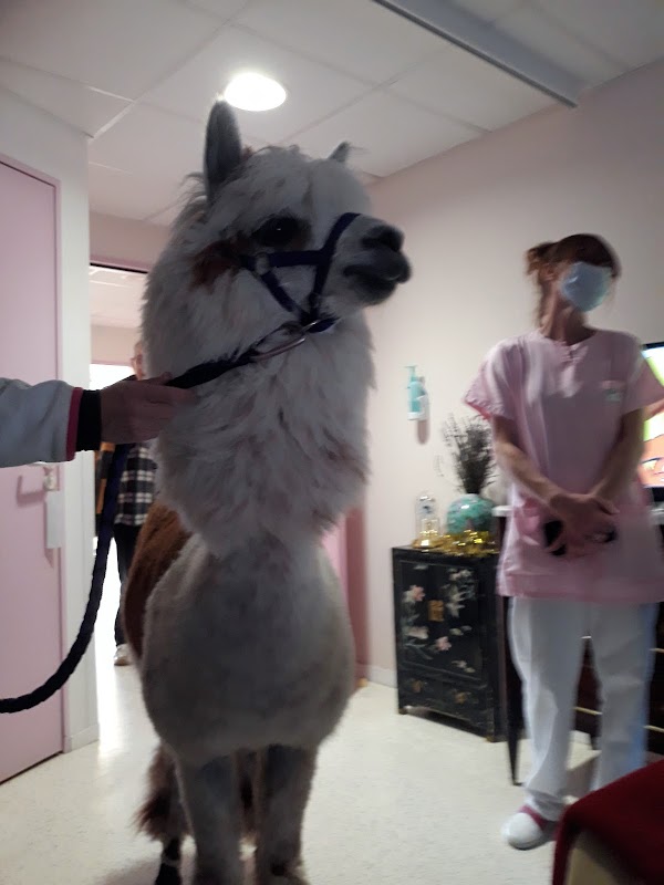 EHPAD Les Papillons d'Or - Photo 2 sur 5 - Intérieur et espaces communs