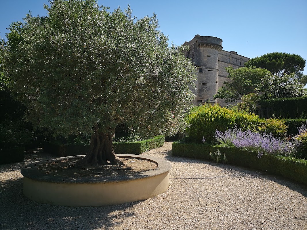 Section Maison de retraite du Centre hospitalier de Gordes - Photo 5 sur 5 - Environnement et extérieurs