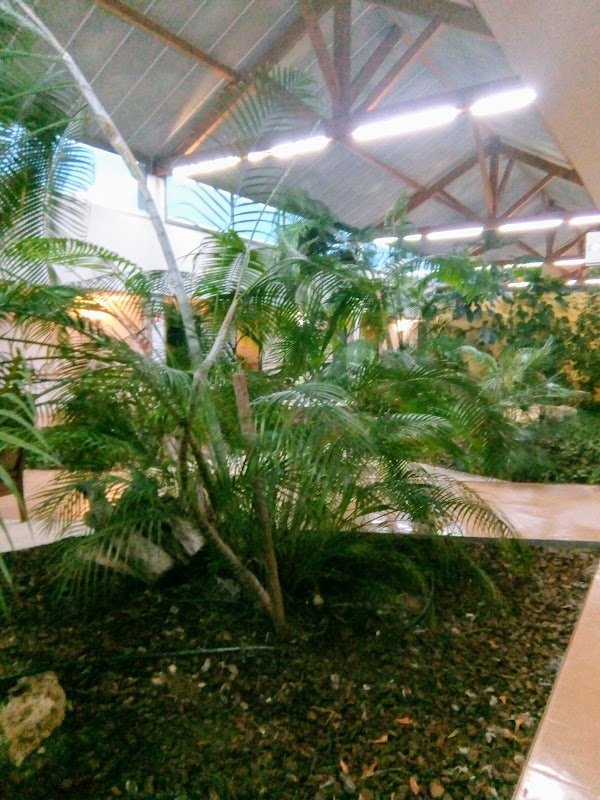 EHPAD Les Capucins - Photo 4 sur 5 - Espaces de vie