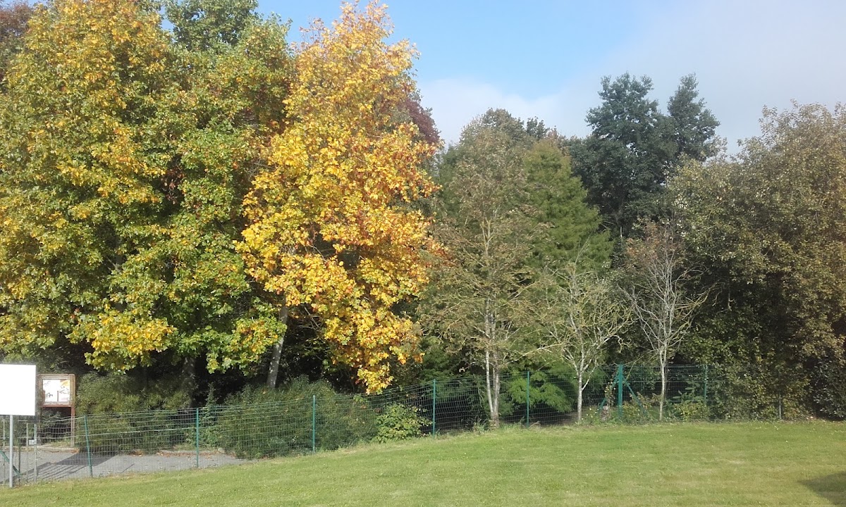 Résidence Edilys la Fontaine au Lievre - Photo 5 sur 5 - Environnement et extérieurs