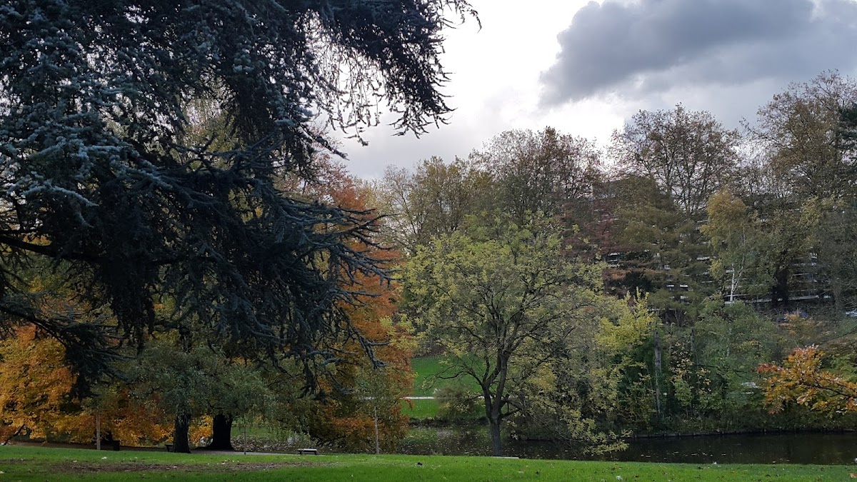 Foyer-Logement Résidence longchamp - Photo 5 sur 5 - Environnement et extérieurs