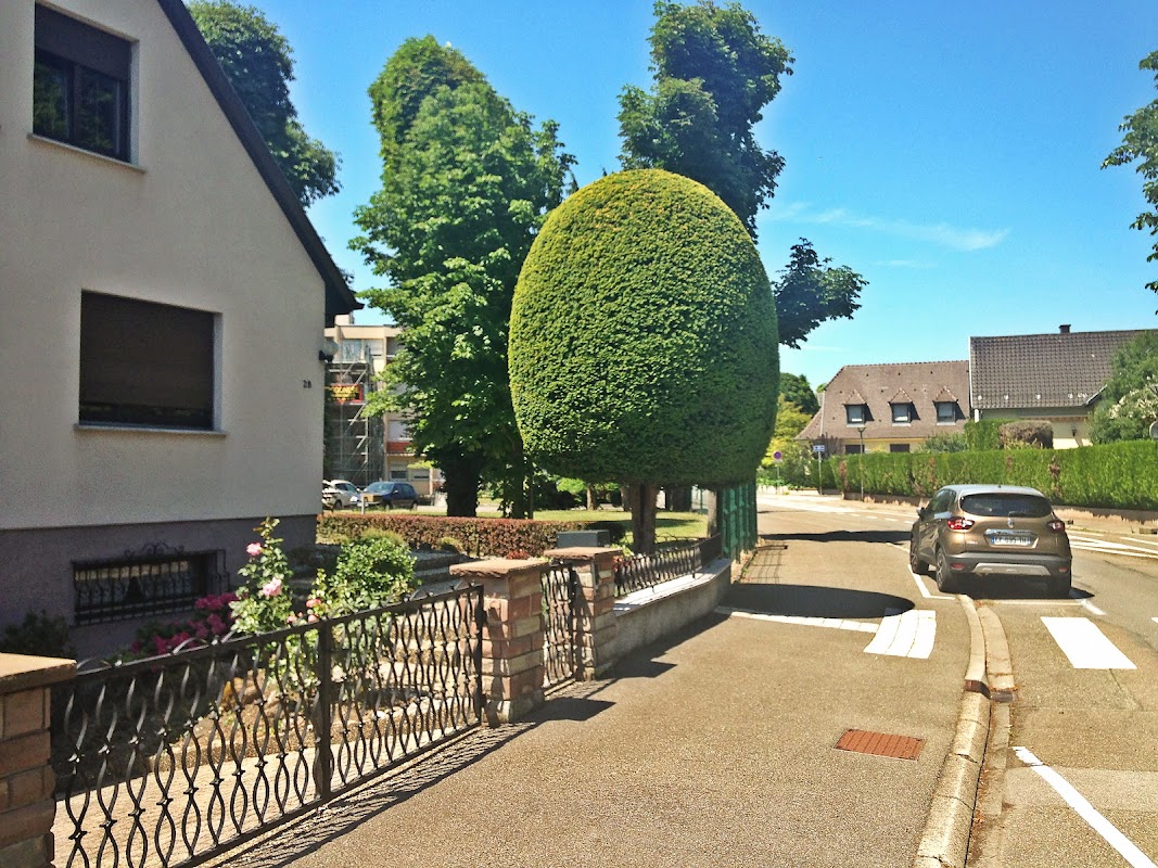 EHPAD La Niederbourg - Photo principale