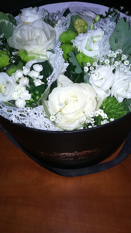 Photo de EHPAD L'Orée du Bois, EHPAD à RIEUX VOLVESTRE