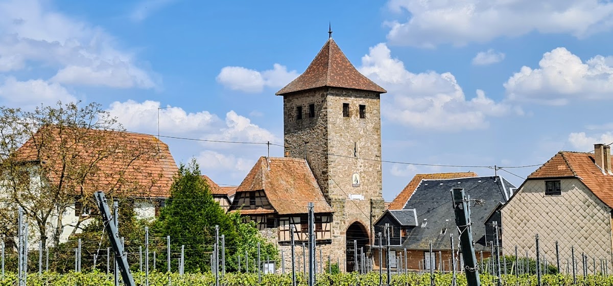 Ehpad de Dambach-la-ville - Photo 4 sur 5 - Espaces de vie