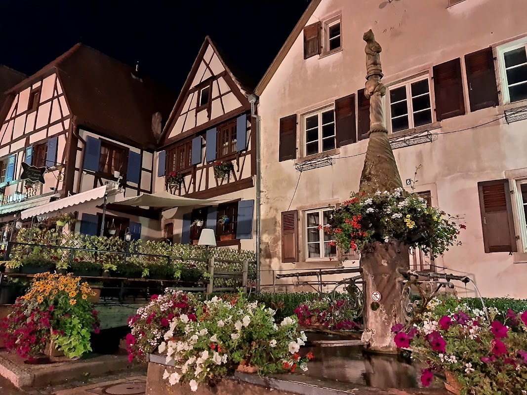 Ehpad de Dambach-la-ville - Photo 5 sur 5 - Environnement et extérieurs