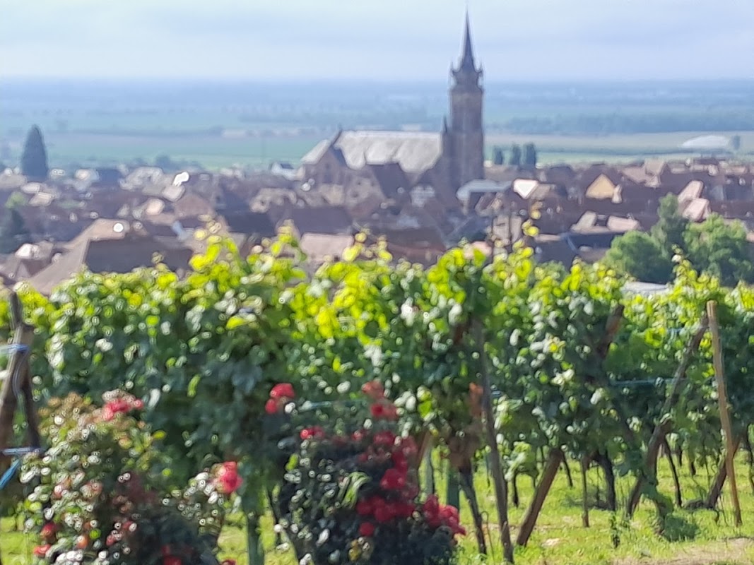 Photo de Ehpad de Dambach-la-ville, EHPAD à DAMBACH LA VILLE