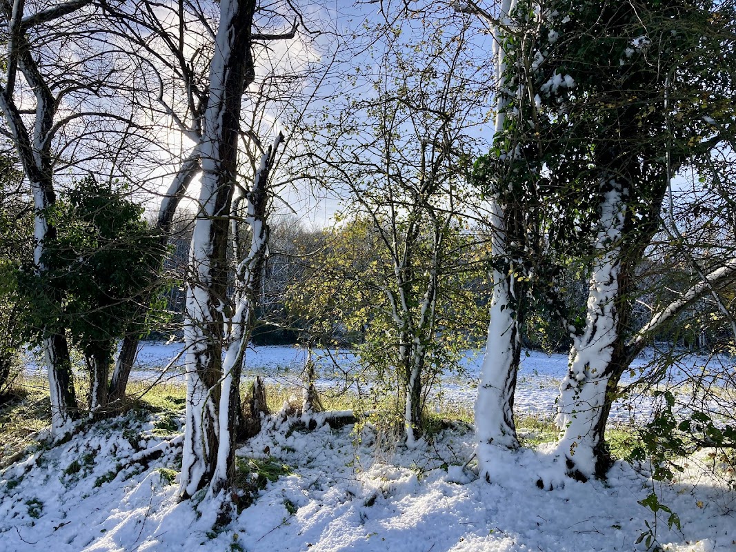 EHPAD Domaine de la Chalouette - Photo 5 sur 5 - Environnement et extérieurs