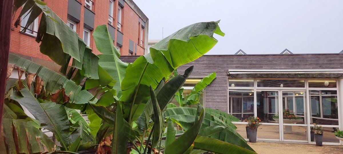 EHPAD - résidence Louis Aragon - Photo principale