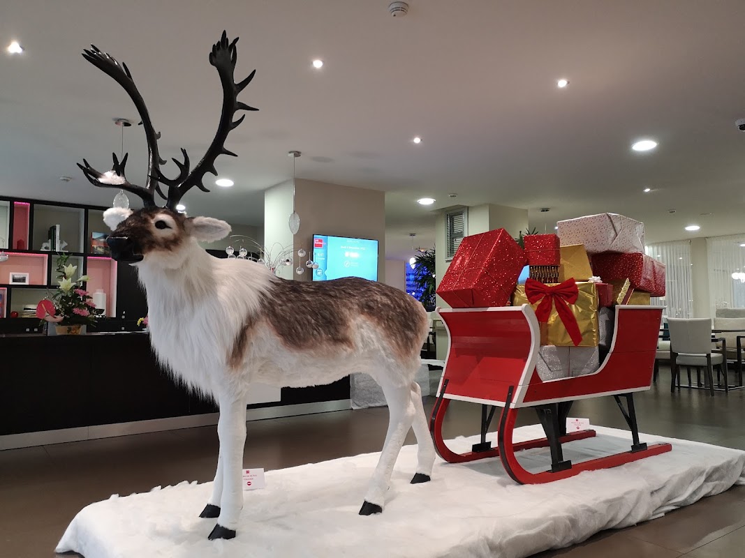 EHPAD Le Cercle des Ainés - Photo 5 sur 5 - Environnement et extérieurs