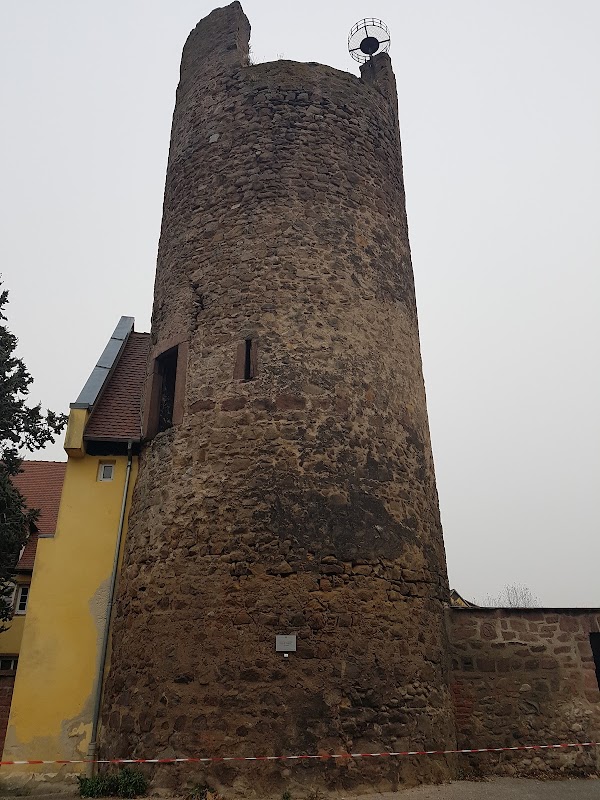 Résidence de la Weiss de Kaysersberg - Photo 4 sur 5 - Espaces de vie