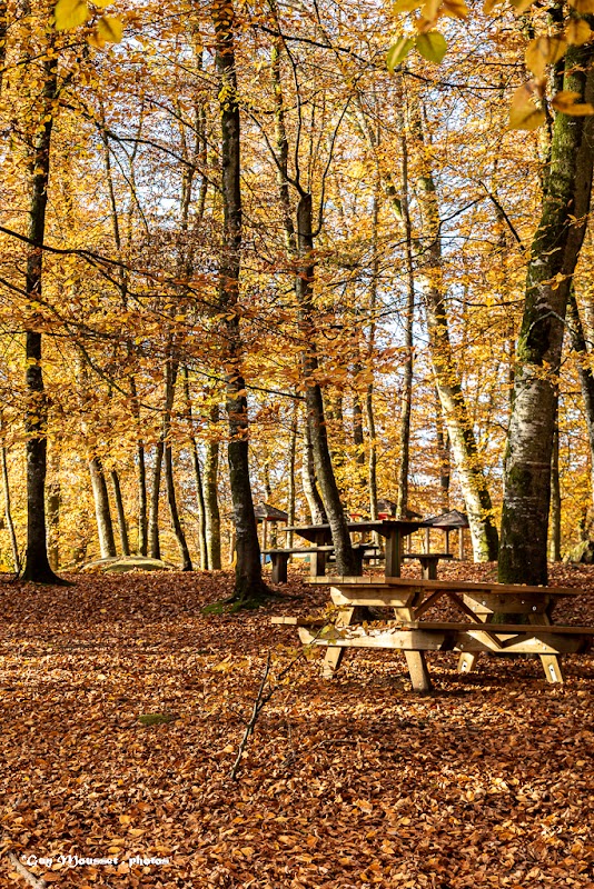 EHPAD Villecartier - Photo 3 sur 5 - Chambres et hébergement