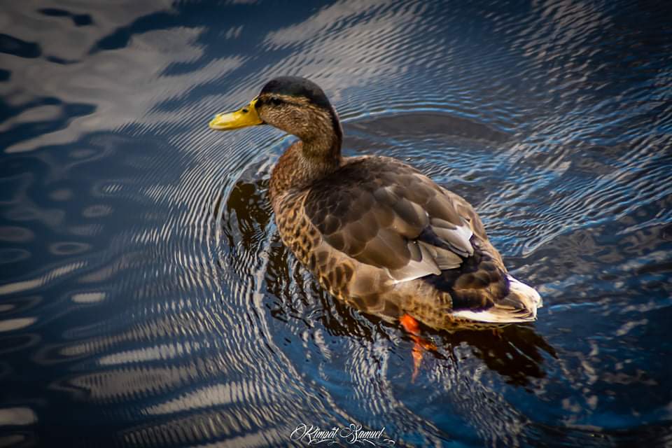 EHPAD Villecartier - Photo 2 sur 5 - Intérieur et espaces communs