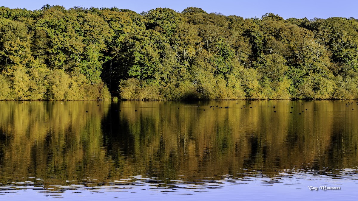 Photo de EHPAD Villecartier, EHPAD à BAZOUGES LA PEROUSE