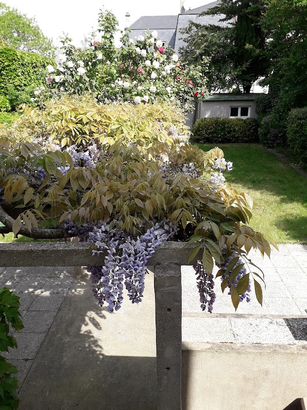 EHPAD Simone-Veil - Photo 5 sur 5 - Environnement et extérieurs