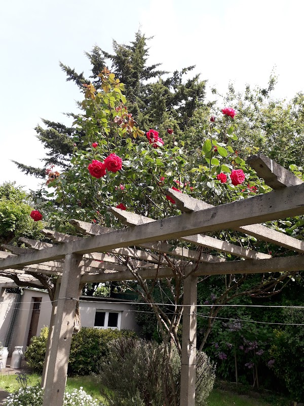 EHPAD Simone-Veil - Photo 4 sur 5 - Espaces de vie