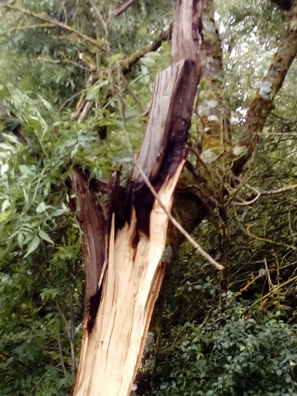 Photo de USLD de l'Hôpital Saint-Jean, ESLD à BRIARE
