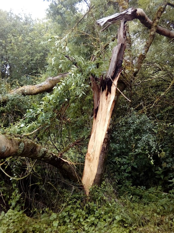 USLD de l'Hôpital Saint-Jean - Photo 4 sur 4 - Espaces de vie