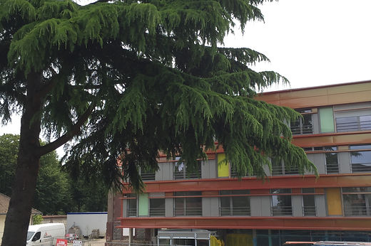 Centre hospitalier du Bois-Petit - Photo 4 sur 4 - Espaces de vie