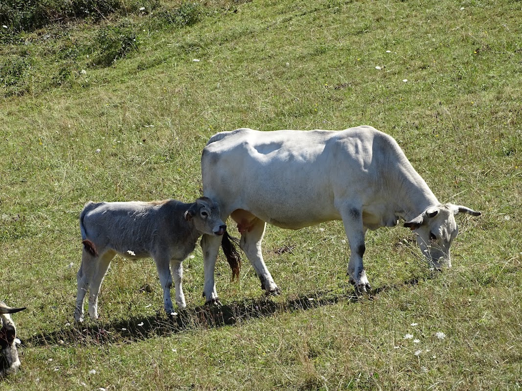 EHPAD Noelie Secail - Photo 4 sur 5 - Espaces de vie
