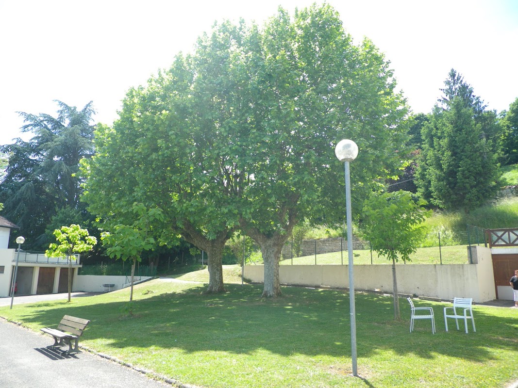 Photo de EHPAD des mille étangs, EHPAD à CHALAMONT