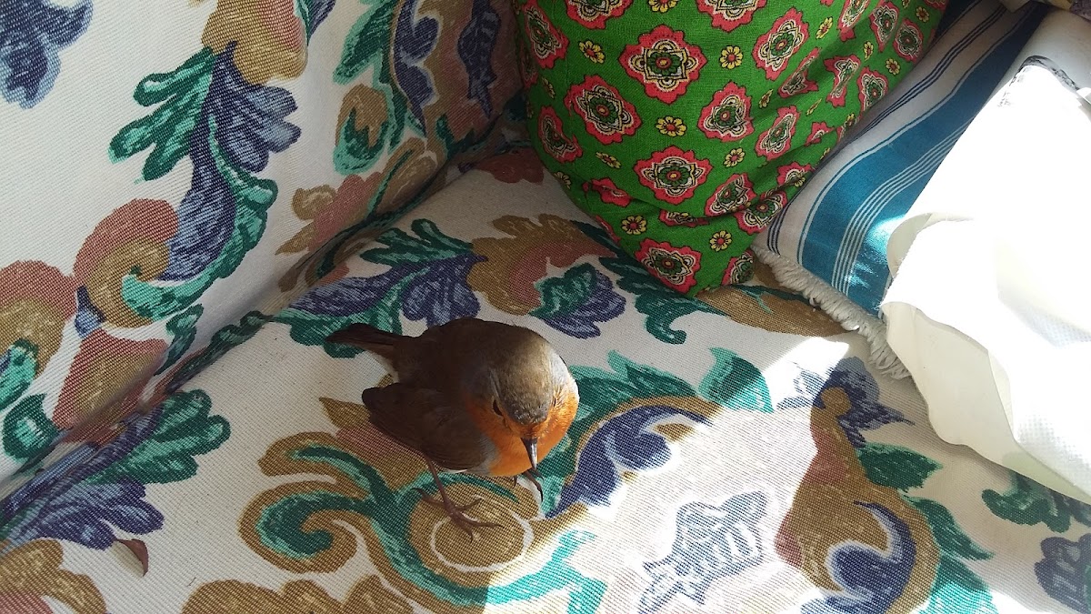 EHPAD - Résidence Michel Marquet - Photo 5 sur 5 - Environnement et extérieurs