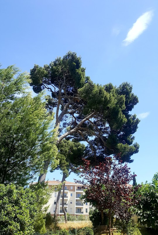 EHPAD Résidence du Baou - Photo principale