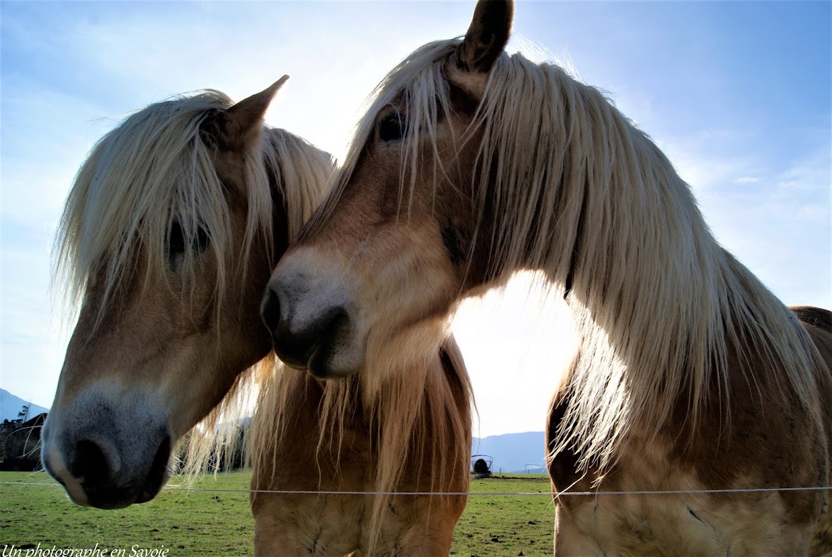 EHPAD Les Clematis - Photo 4 sur 4 - Espaces de vie