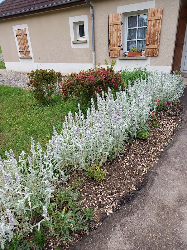 MARPA Résidence L'Aube d'Or - Photo 2 sur 5 - Intérieur et espaces communs