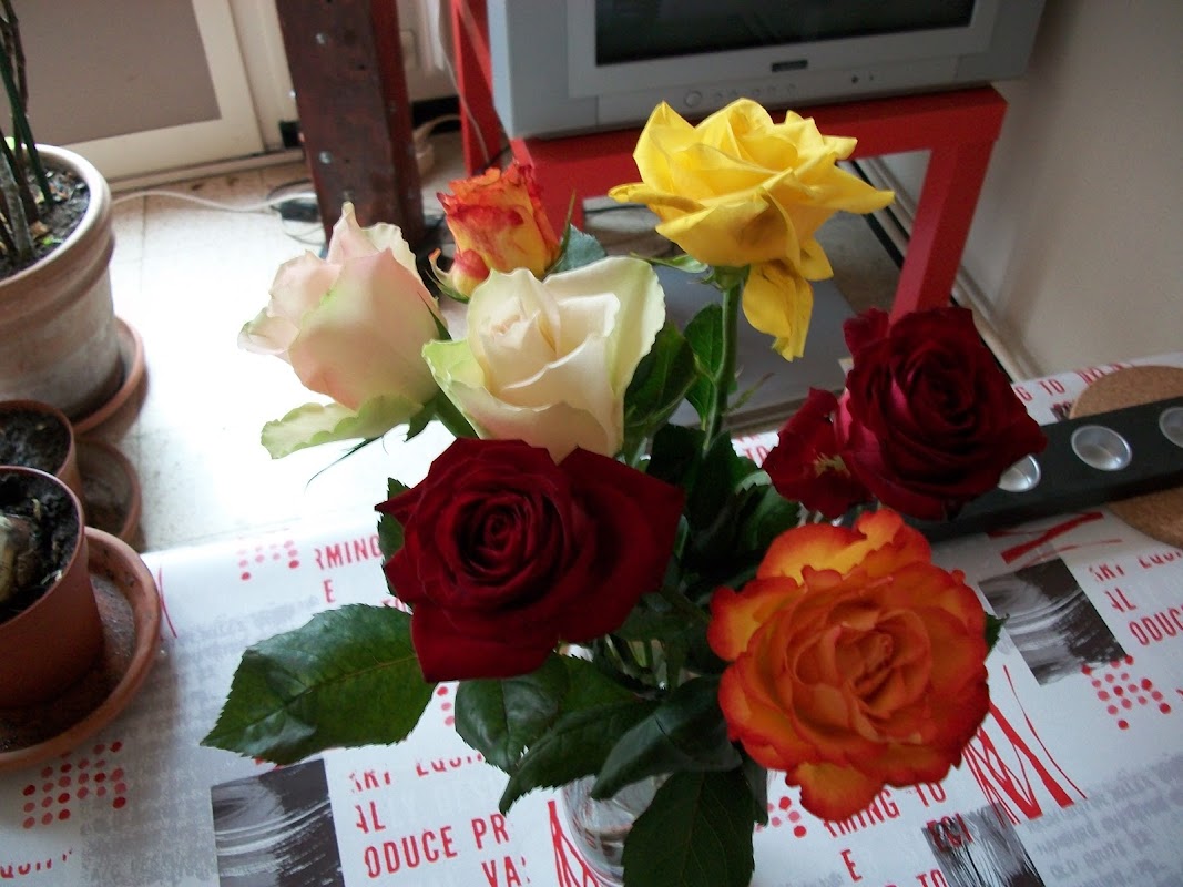 Photo de EHPAD Le Cèdre, EHPAD à PONT DU CHATEAU