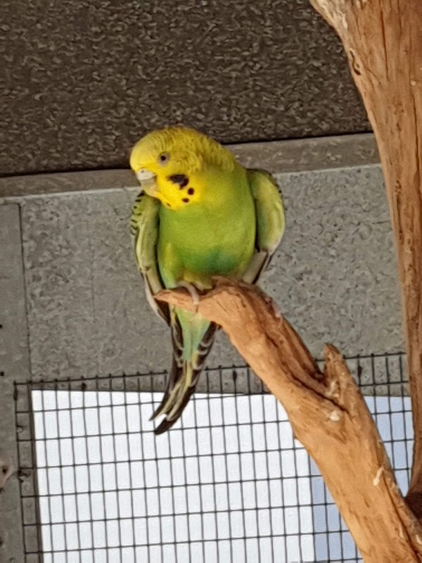 EHPAD de l'Ayguerote - Site de l'Ayguerote - Photo 2 sur 5 - Intérieur et espaces communs