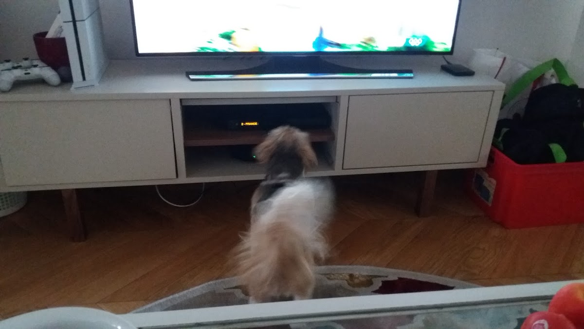 Photo de EHPAD Résidence Mutualiste la Pyrénéenne, EHPAD à AUREILHAN