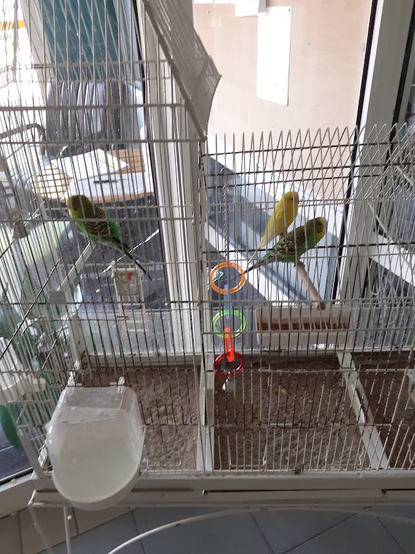 EHPAD Le Myosotis - Photo 4 sur 5 - Espaces de vie