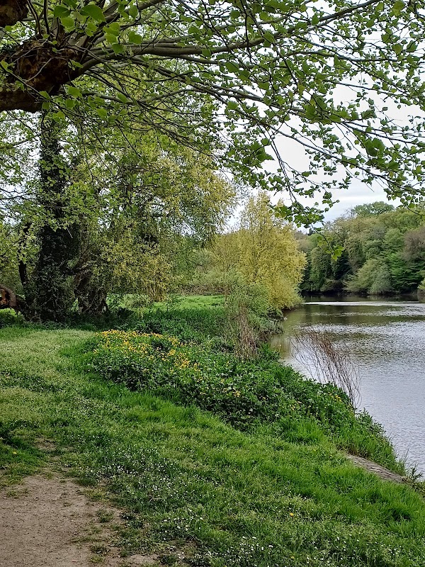 EHPAD Les Bords de Sèvre - Photo 4 sur 5 - Espaces de vie
