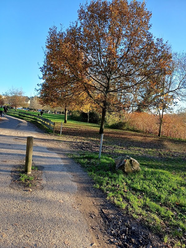 EHPAD Les Bords de Sèvre - Photo 3 sur 5 - Chambres et hébergement