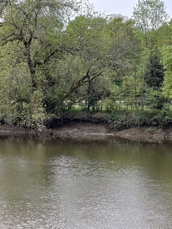 EHPAD Les Bords de Sèvre - Photo 5 sur 5 - Environnement et extérieurs