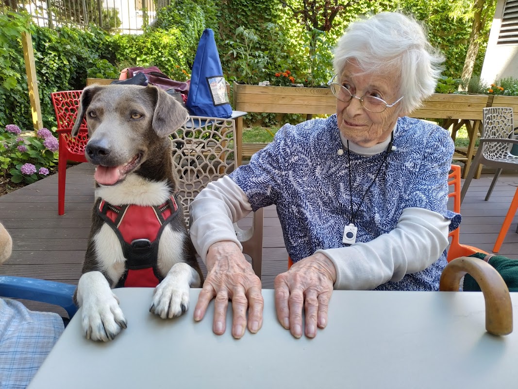 Domicile Collectif Les Gentianes - Photo 5 sur 5 - Environnement et extérieurs