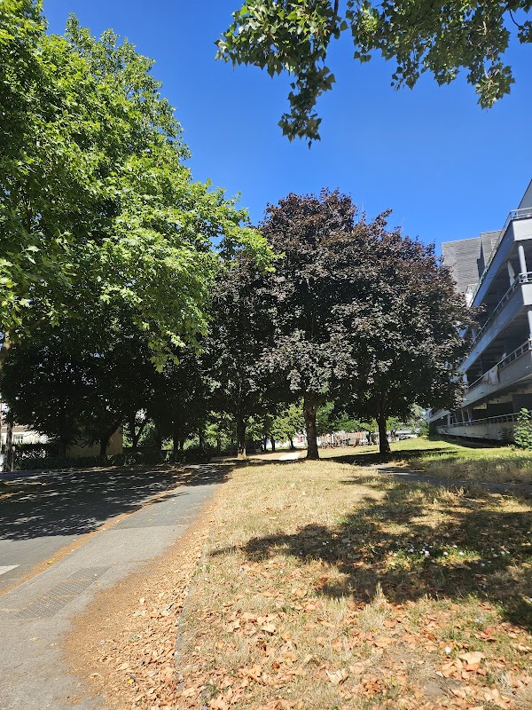 EHPAD René Crozet - Photo 4 sur 5 - Espaces de vie