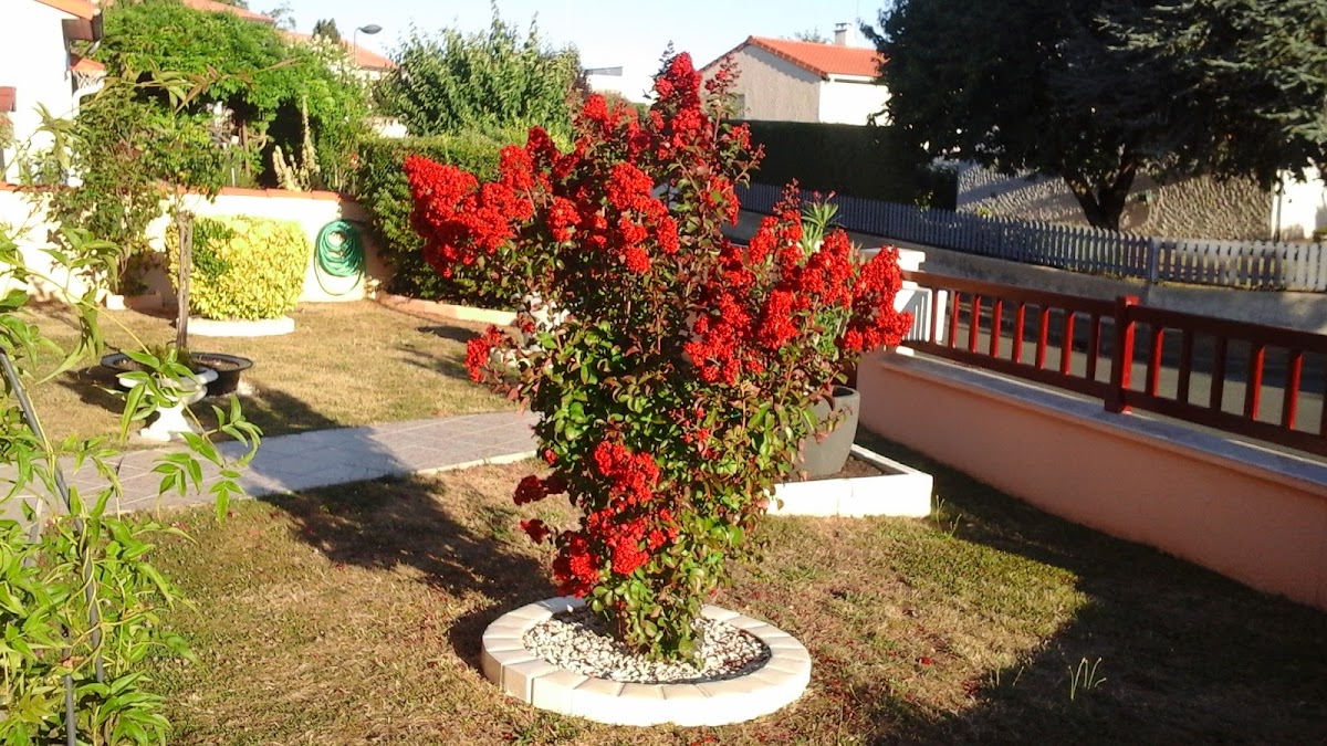 EHPAD Les Jardins de Salomé - Photo 3 sur 4 - Chambres et hébergement