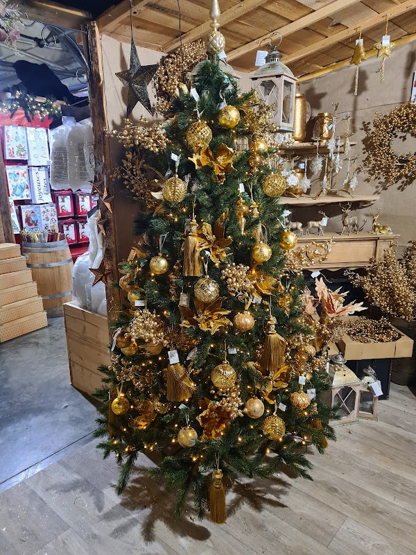 EHPAD La Vigie des Monts d'Or - Photo 3 sur 5 - Chambres et hébergement