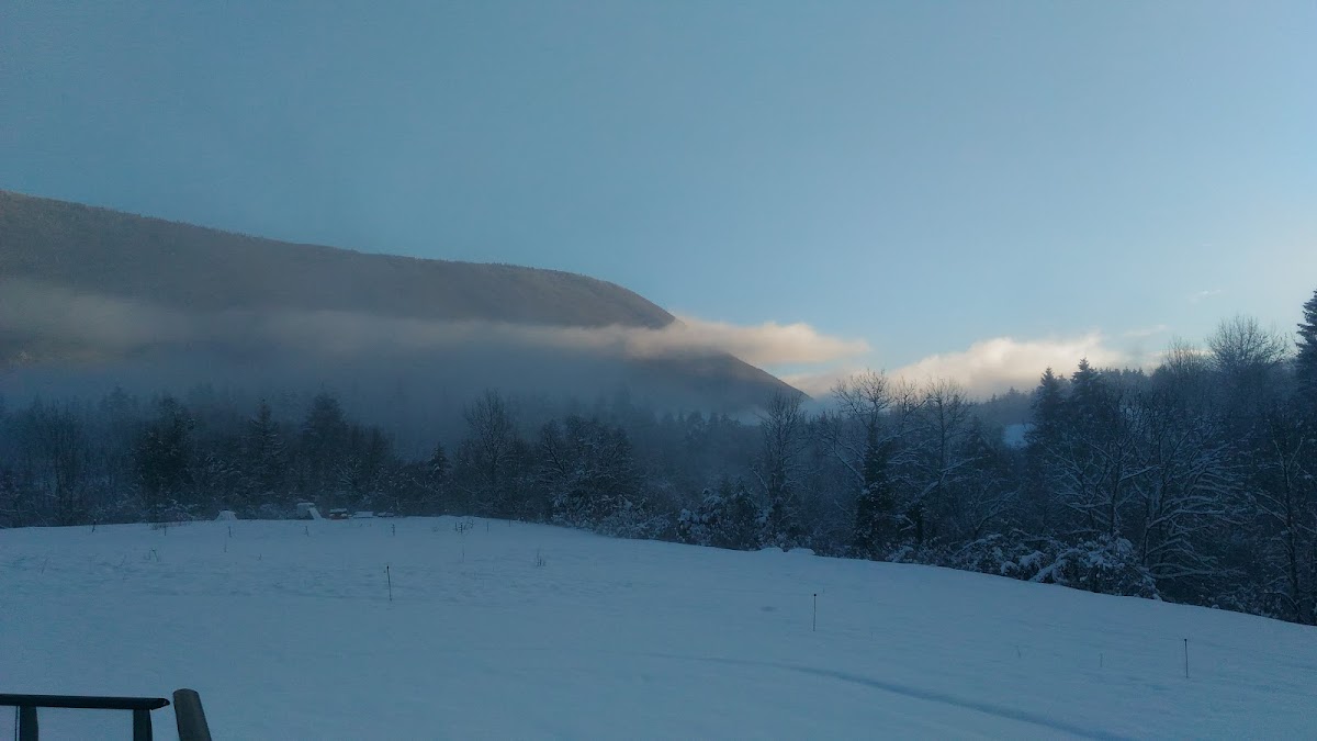 MARPA Résidence Les carlines - Photo principale