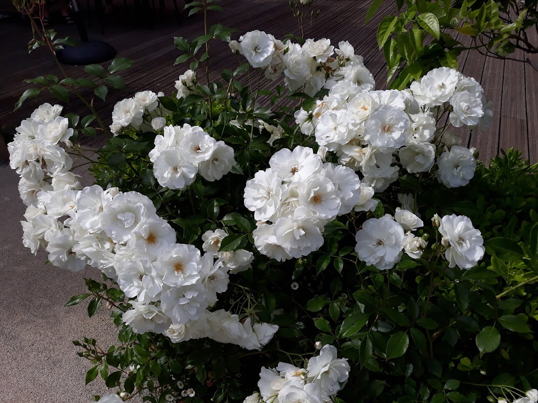 EHPAD  Les Gabres - Photo 5 sur 5 - Environnement et extérieurs